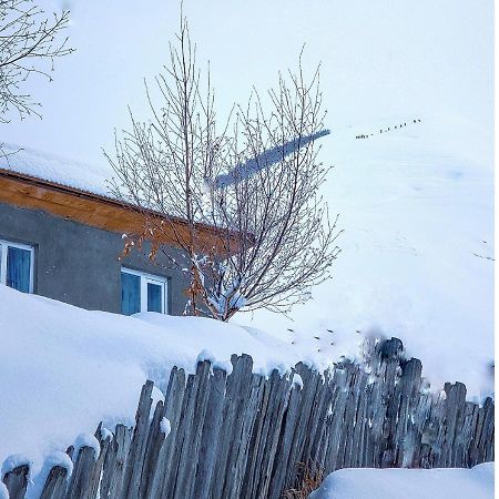 Guest House Data Ushguli Exterior photo